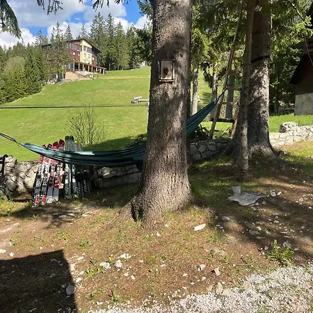 Whispering Pines Frühstückspension